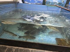 -东沙小镇主题餐厅(下沙店)