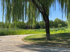 -太阳宫公园
