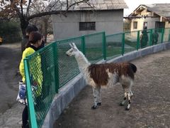 -西安秦岭野生动物园