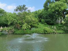 -上海醉白池公园