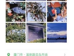 -溪岸路花鸟市场