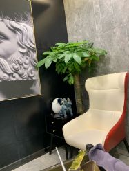 -AYO SALON