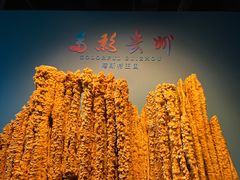 -贵州省地质博物馆