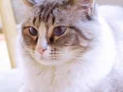 -白兔子密室(长寿路店)