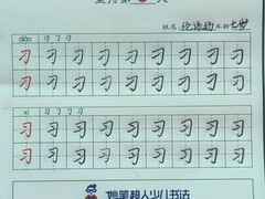 -缤纷鸟美术书法(建大校区)