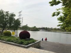 -九里河湿地公园