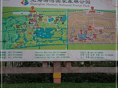 -上海海湾国家森林公园