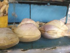 -龙溪海鲜酒家(溪涌店)