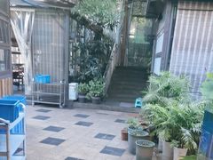 -先机泉水鸡汤(南山老君洞店)