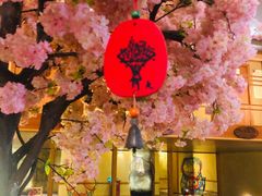 -汤泉良子(金源店)