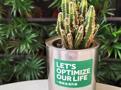 -Green Option(官舍店)