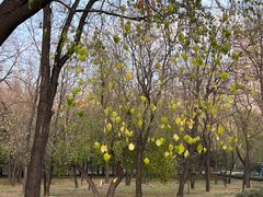 -森林公园(尖草坪区)