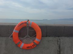 -来之顺海鲜菜馆·青岛菜·始于1993(栈桥店)