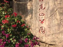 狐尾山-狐尾山公园