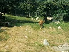 -西安秦岭野生动物园