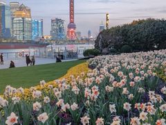 -北外滩滨江绿地