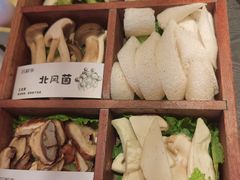 -芸鲜季·云南野生菌餐厅· 云南风物味研社(闵行店)