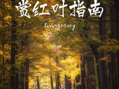 -秦岭风景区