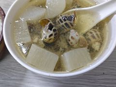 -顺和隆炖罐