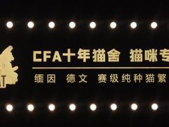 -十年猫舍·猫咪专门店(普陀店)