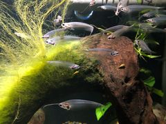 -太平洋海底世界