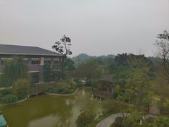 -成都安仁福朋喜来登酒店