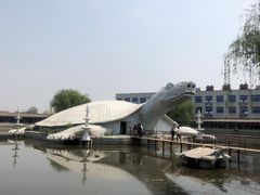 -东方巨龟苑景区
