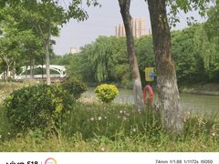 -菊园百果园