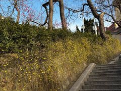 -青岛市江苏路基督教堂