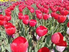 -长春公园(普阳街道)