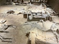 -洛阳周王城天子驾六博物馆