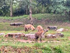 -北京野生动物园