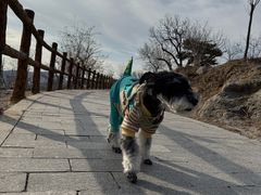 -白水寺森林公园