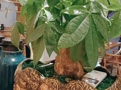 -忆见妈妈菜(银河城店)