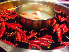 -董家湾重庆老火锅(嘉华店)