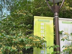 -海棠花溪(元大都城垣遗址公园)