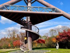 -贡湖湾湿地公园