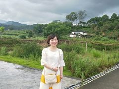 -福建土楼（华安）旅游区•大地土楼群