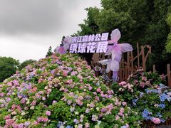 -上海滨江森林公园
