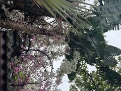 -深圳国际园林花卉博览园