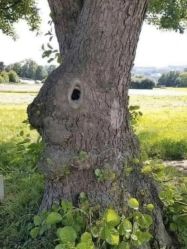 -Oasis Beauty水磨坊科技美肤中心