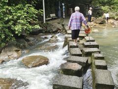 -广州白江湖森林公园