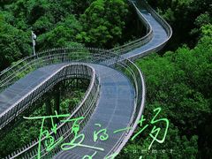 -福道