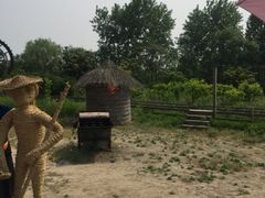 -溱湖国家湿地公园