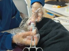 -谐和贝康宠物医院24小时·宠保定点(急重症转诊中心)