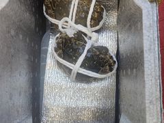 -蟹天蟹地农家菜·阳澄湖大闸蟹(浅水湾店)