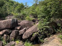 -广州白江湖森林公园