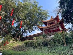 -深圳仙湖植物园