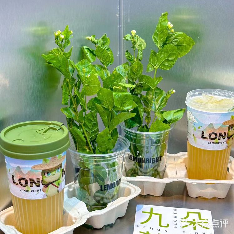 简直就是春天里必喝的奶茶好吗️ 茉莉柠檬茶