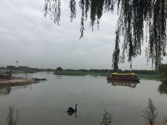 -白洋淀景区